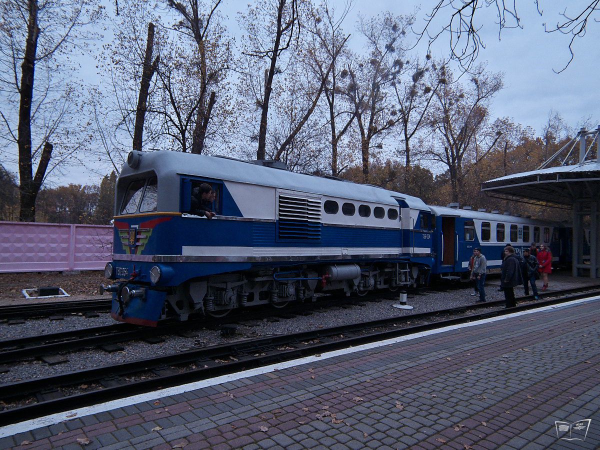 ТУ2-054 с поездом 'Украина' из вагонов Pafawag на ст. Парк