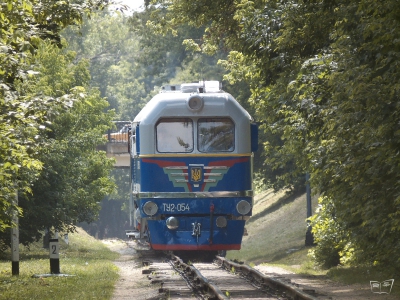 ТУ2-054 с поездом на перегоне