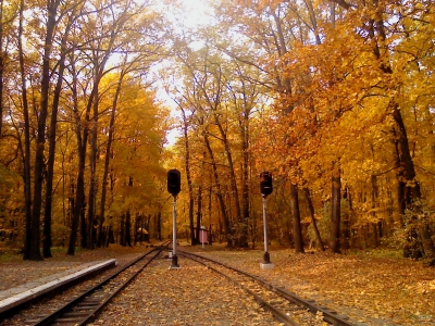 Осенняя станция Лесопарк