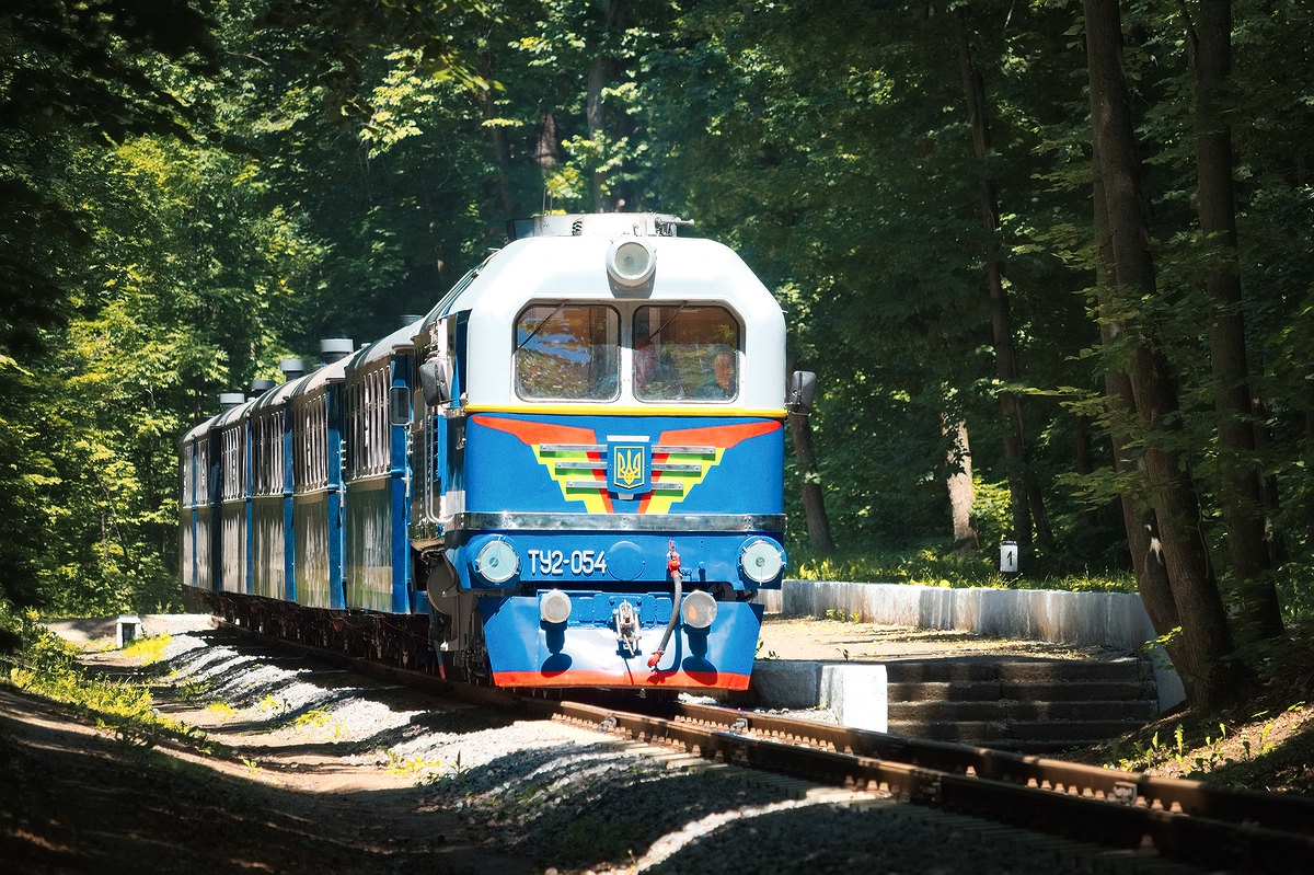 Тепловоз ТУ2-054 с поездом 'Украина' следует по ост. п. Мемориал