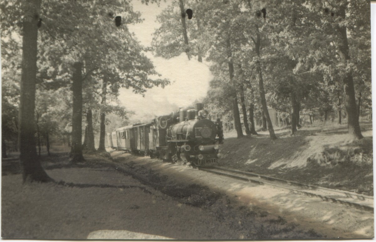 Паровоз ЛК83-1 с поездом на перегоне