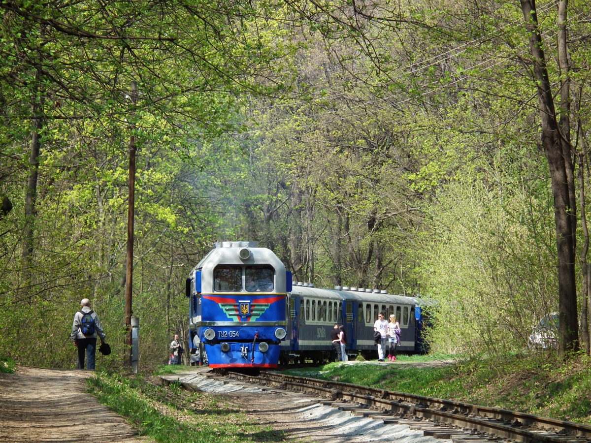 ТУ2-054 с поездом 'Украина' следует в нечётную сторону