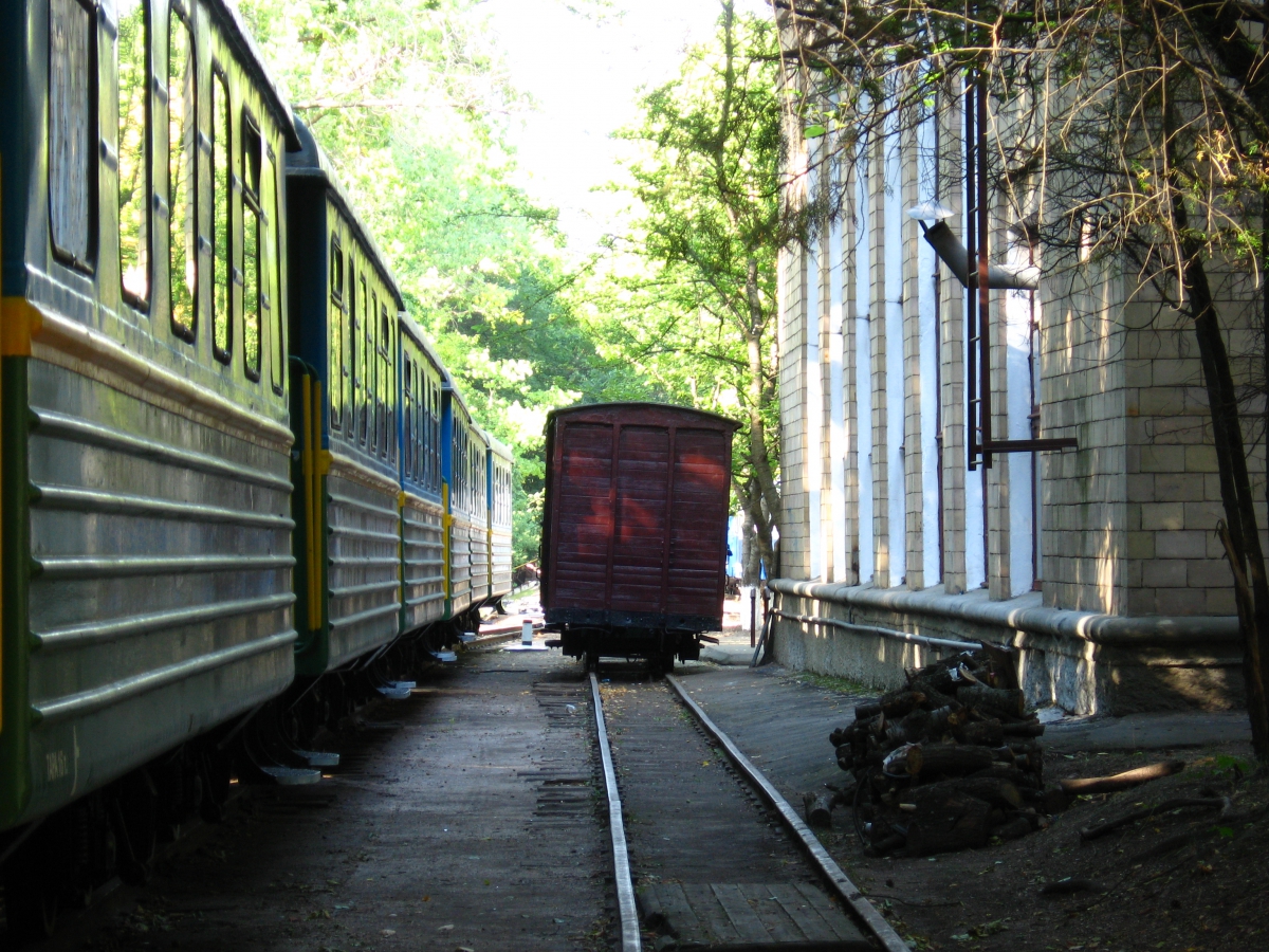 Грузовой вагон в тупике станции Парк