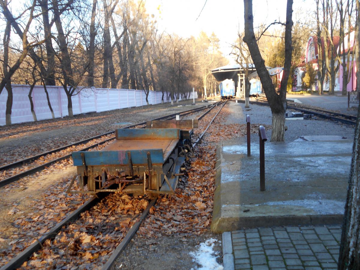 Двухосные платформы в тупике ст. Парк