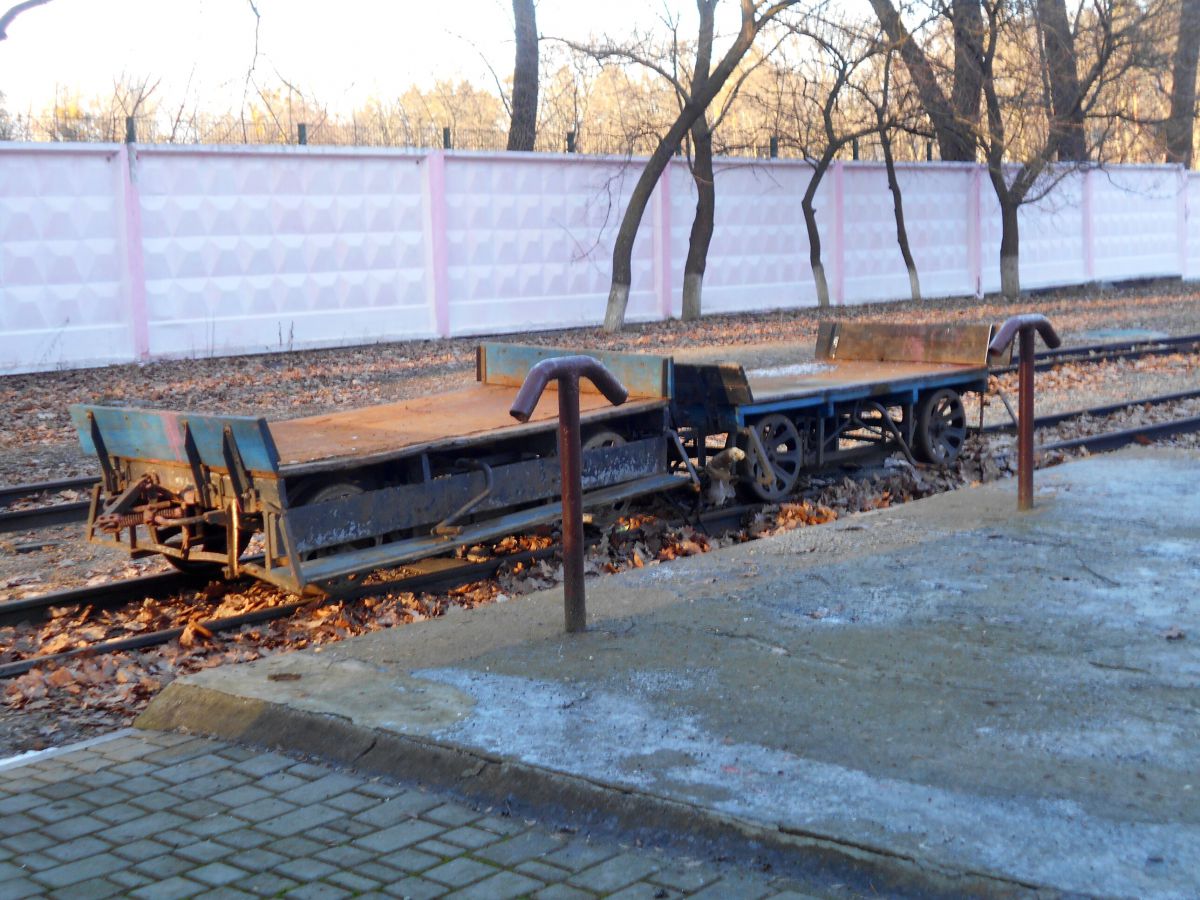 Двухосные платформы в тупике ст. Парк