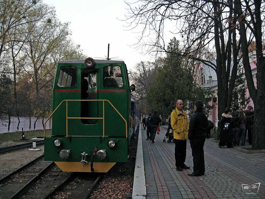 ТУ7А-3198 с составом 'Украина' прибывает на ст. Парк
