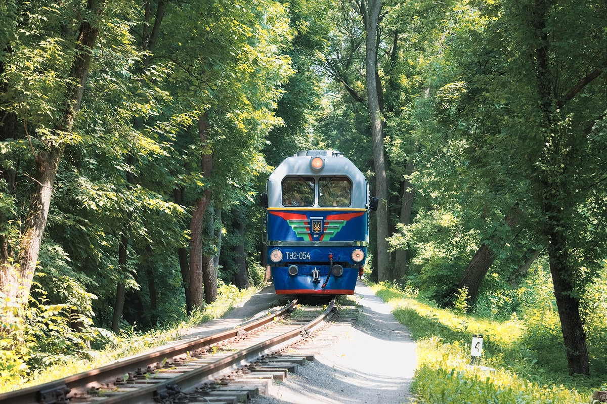 ТУ2-054 с поездом на приближении к станции Парк