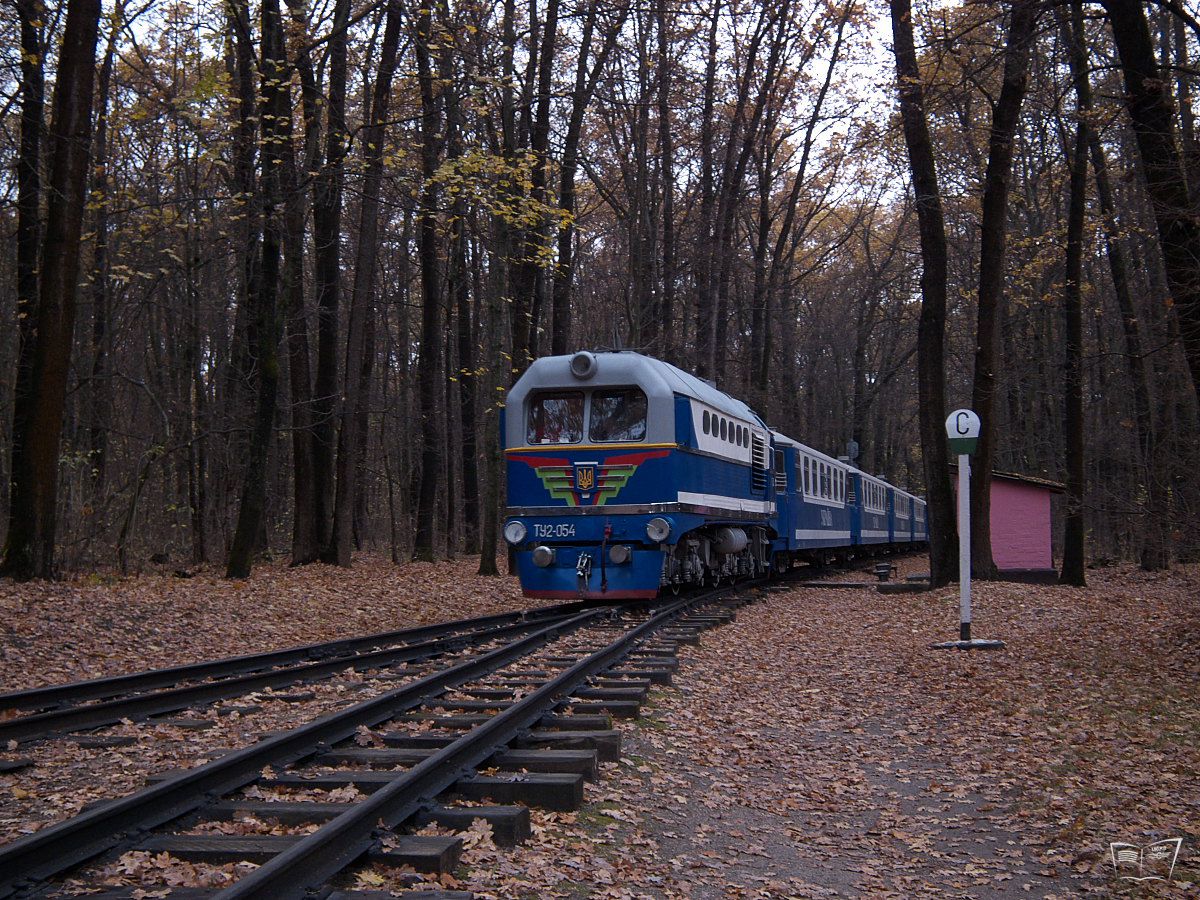 ТУ2-054 с поездом 'Украина' из вагонов Pafawag прибывает на ст. Лесопарк