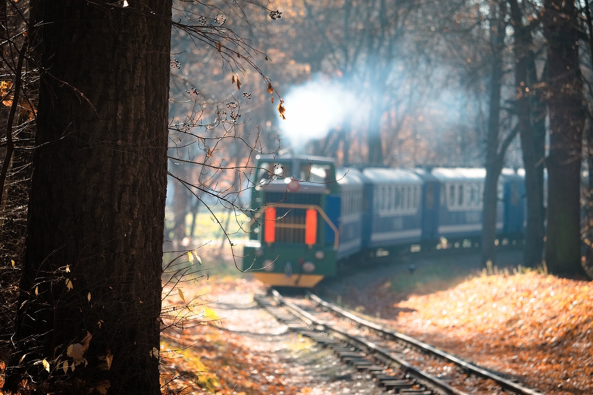 ТУ7А-3198 с поездом 'Украина' из вагонов Pafawag следует в чётную сторону на втором километре