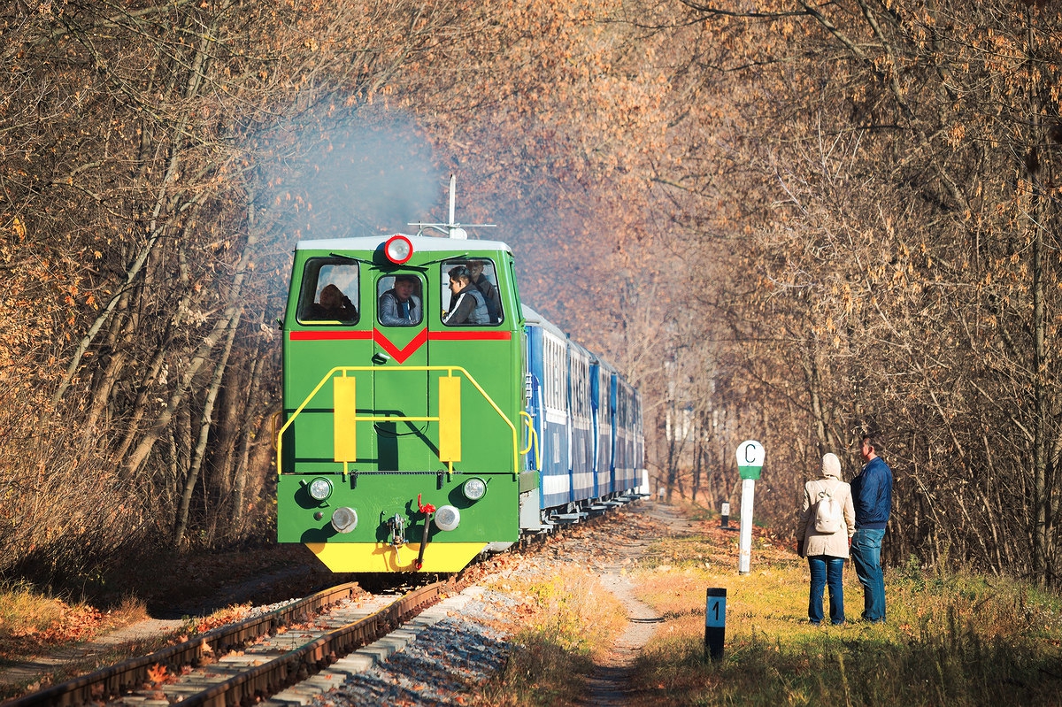 ТУ7а-3198 с поездом 'Украина' из вагонов Pafawag следует в нечётную сторону на втором километре