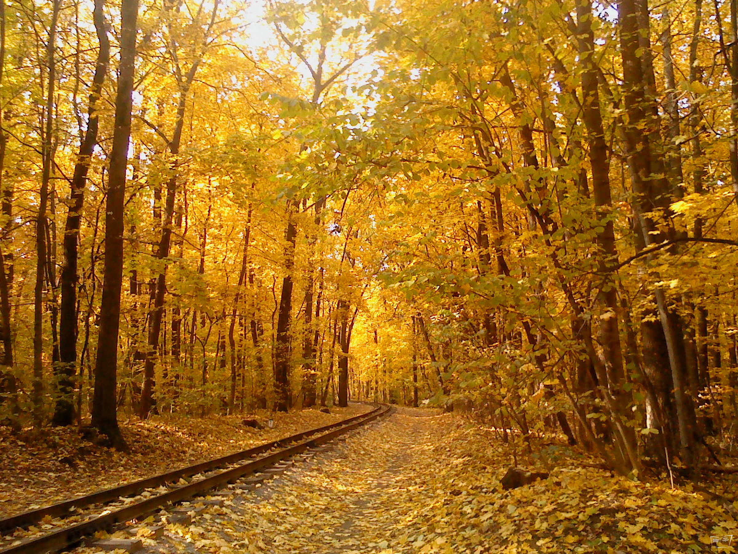 Осенняя Железная Дорога Фото