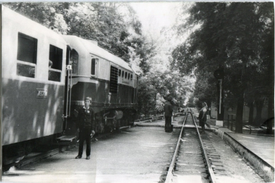 ТУ2-054 с составом 'Пионерский' на втором пути ст. Парк