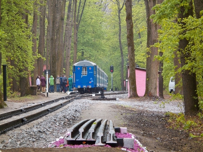 Поезд 'Украина' на станции Лесопарк