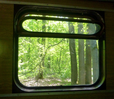 Вид из окна вагона ПВ40 на Лесопарк
