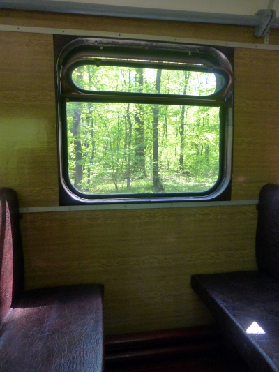 Вид из окна вагона ПВ40 на лесопарк