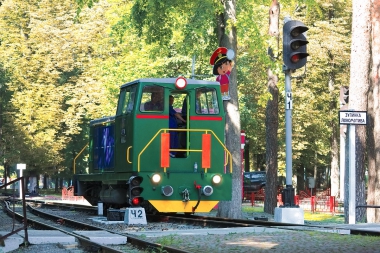 ТУ7А-3198  маневрирует на станции Парк