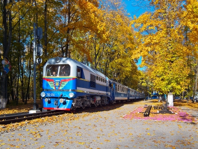 Ту2-054 с поездом 'Украина' из вагонов Pafawag прибывает на станцию Парк