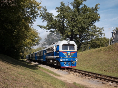 ТУ2-054 с составом 'Украина' на перегоне
