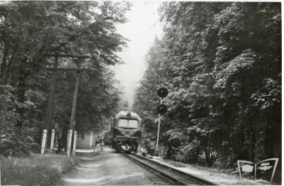 ТУ2-054 с поездом отправляется со ст. Парк