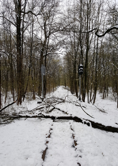 Упавшее дерево на перегоне (аномальный снег в апреле 2017 г.)
