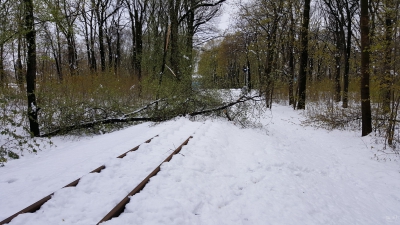 Упавшее дерево на путях (аномальный снег в апреле 2017 г.)