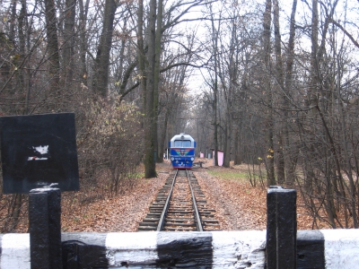 Вид на прибывший поезд из тупика на ст. Лесопарк