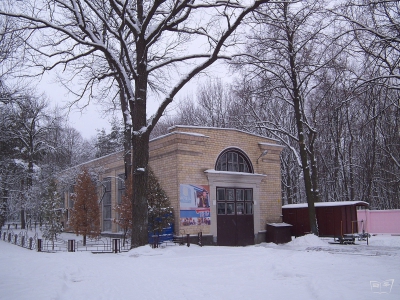 Депо на ст. Парк зимой 2013 года