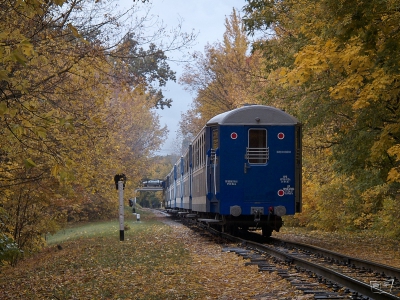 Поезд 'Украина' на перегоне