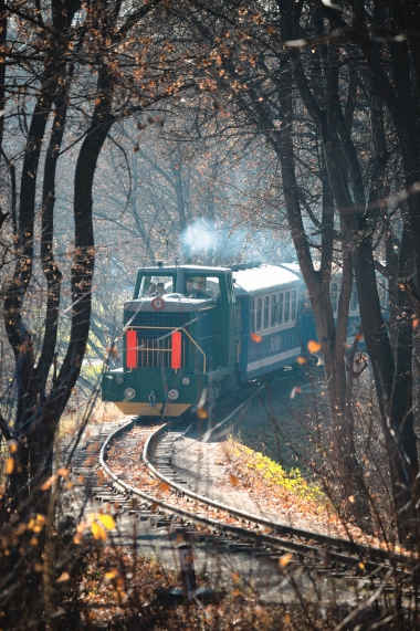 ТУ7а-3198 с поездом 'Украина' из вагонов Pafawag следует в чётную сторону на втором километре